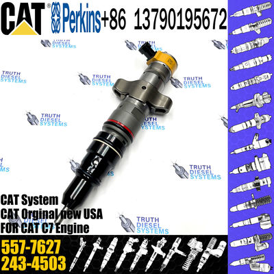 C7 C9 Fuel Injector 387-9427 557-7627 293-4071 295-1411 293-4573 10R-4763 20R-8059 20R-8057 For Caterpillar Excavator