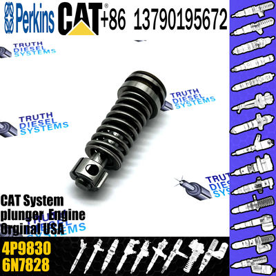 Diesel Fuel Injection Pump Plunger 1w6541 4p9830 9h5797 6n7527 Plunger Barrel 7W5929 Element for CAT 3304 3306 Diesel En