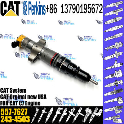 C7 C9 Fuel Injector 387-9427 557-7627 293-4071 295-1411 293-4573 10R-4763 20R-8059 20R-8057 For Caterpillar Excavator