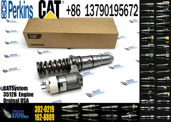 diesel Fuel injector 392-0219  246-1854 250-1311 250-1302 250-1304 250-1303 250-1306 250-1308 250-1312
