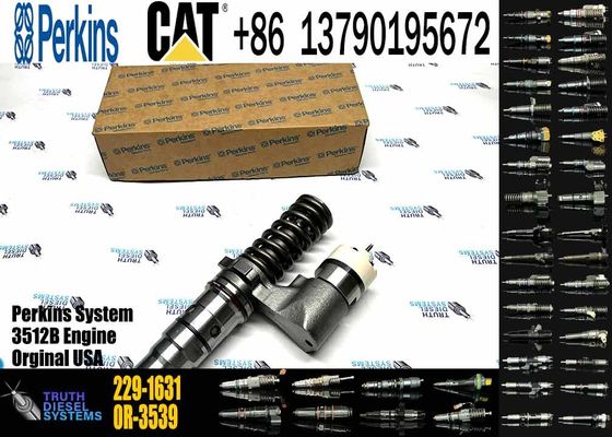 New common rail injector 229-1631 437-7547 245-8272 8E-8836 246-1854 392-0203 for diesel engine CAT