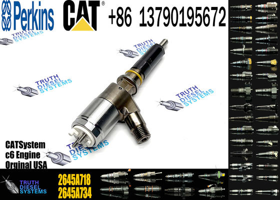 Common rail Fuel Injector 2645A718 2645A734 2645A747 For Perkins Engine 1104D-E44TA Caterpillar C4.4 C6.6 M315D M318D M322D