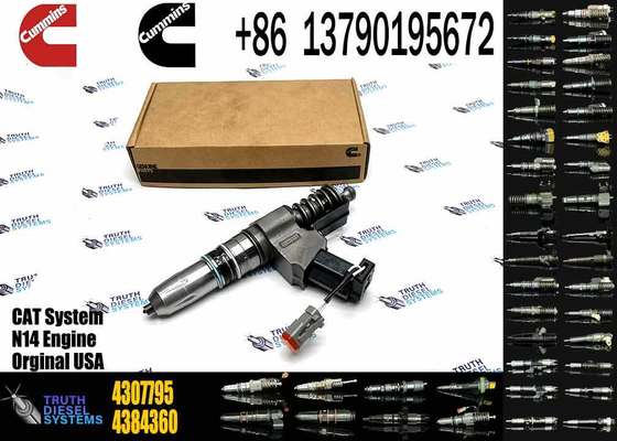 Common Rail Fuel Injector 4307795 3073995F for Cummins QSN14 N14 Engine