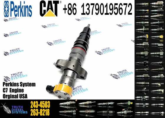Diesel Engine C7 C9 Fuel Injector 243-4503 2434503 295-1409 2951409