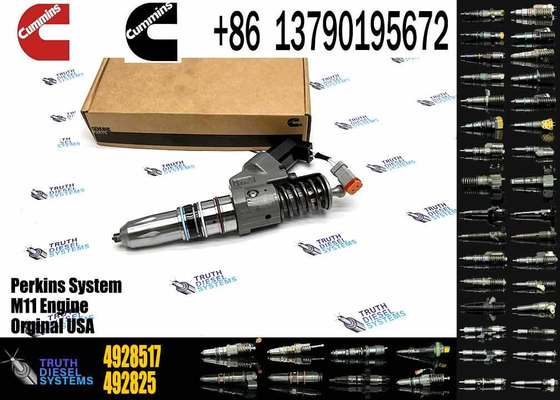 Auto Parts Diesel Injector 4928517 Common Rail Injector 4928517