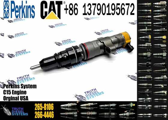 C9 HEUI Injector 258-8745 Diesel Fuel Injector 265-8106 293-4074 for Caterpillar Excavator C9 Engine Parts