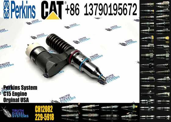 China New High Quality CH12082 229-5919 Diesel Fuel Injector for Truck Engine for with 2206A and 2206C Engines