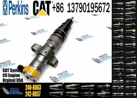 Excavator Accessories Fuel Injector 225-0117 236-0957 238-8092 240-8063 242-0857 245-3516 for CAT C9 Construction Machinery