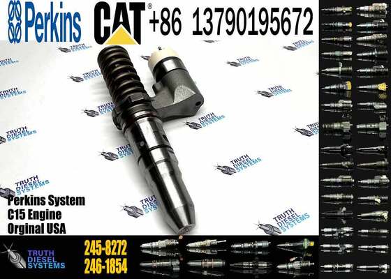 Excavator Parts 3512B Diesel Engine New Fuel Injector 204-2067 229-1631 245-8272 246-1854 250-1311 for Excavator