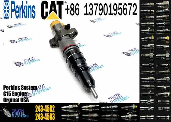 Excavator Fuel Injector 236-0973 328-2583 243-4502 295-1408 20r-8066 20r8066 for Cater-pillar C7 Injectors
