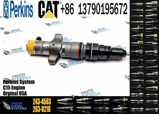 Excavator Engine Fuel Injector 387-9429 328-2584 295-1409 243-4503 222-5962 238-9808 for cat C7 Injector